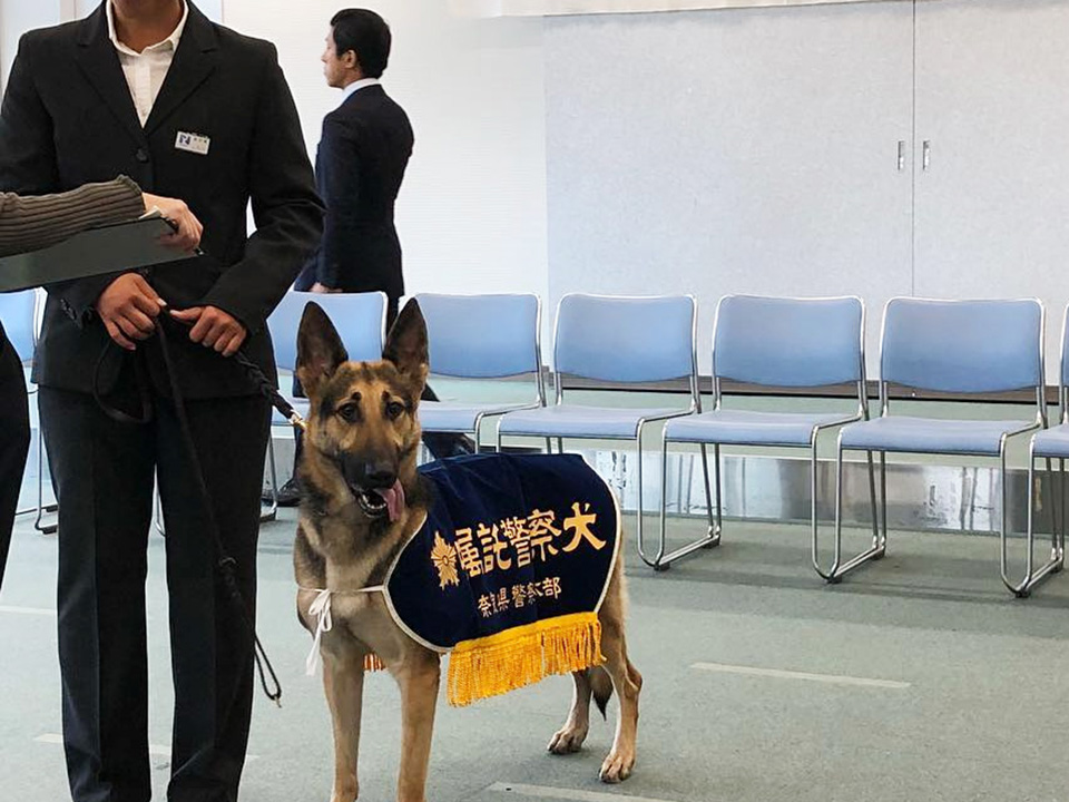 関西ドッグスクール 警察犬訓練
