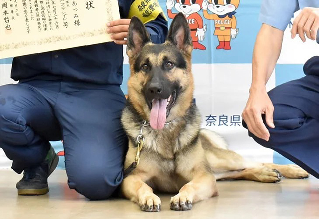 関西ドッグスクール 奈良県警から表彰